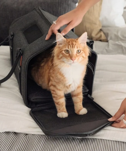 Porto Cat Carrier