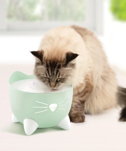 Cat Fountain